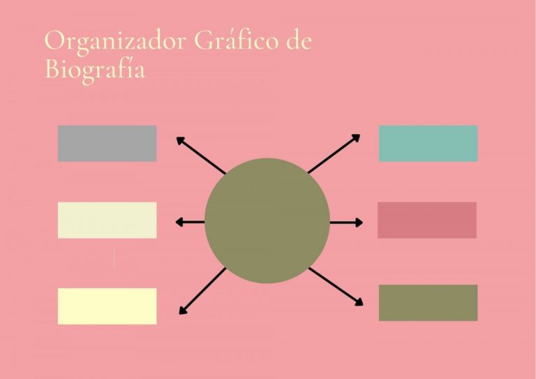 Organizador Gráfico Tipos Y Ejemplos De Organizadores Tipicos Y Creativos Educaimágenes